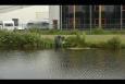 Jeugdviswedstrijd 3  (1)
