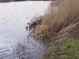 DSC00220