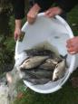 IMG-20201113-WA0009