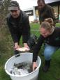 IMG-20201113-WA0010