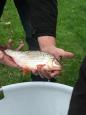 IMG-20201113-WA0011