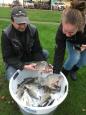 IMG-20201113-WA0013