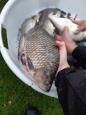 IMG-20201113-WA0032